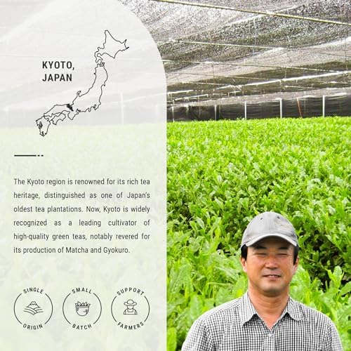 Senbird Premium Gyokuro - Japanese Shade Grown Green Tea - From Kyoto Japan - Imperial Loose Leaf Green Tea In Airtight Tea Tin (1.76oz/50g) (Isshin)