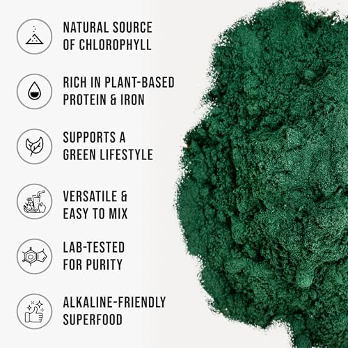Organic Chlorella Powder, Raw, Premium Superfood Rich in Vegan Protein & Chlorophyll, Non-GMO, Vegan-Friendly Supplement, 312 Servings, 1.37 lb (624g)
