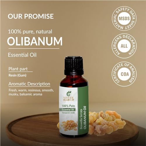Olibanum Oil 15 ML (0.51 Fl.OZ) | 100% Pure Natural Undiluted Uncut Therapeutic Grade Boswellia Serrata Essential Oil