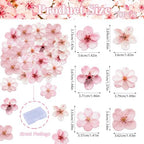 70PCS Edible Cherry Blossoms Cupcake Toppers Pink Edible Cherry Flowers Cake Decorations Wafer Paper Flowers Cupcake Topper for Flowers Theme Baby Shower Birthday Party Decor Supplies