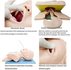 INTBUYING Electron Intubation Adult Manikin 110V-220V Airway Medical Mannequin for Training Teaching Model with Alarm