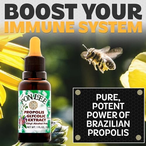 Brazilian Green Bee Propolis Extract 100% Organic, No Alcohol – High Artepillin-C Concentration, Natural Antioxidant, 30ML