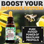 Brazilian Green Bee Propolis Extract 100% Organic, No Alcohol – High Artepillin-C Concentration, Natural Antioxidant, 30ML