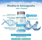 Rhodiola & Ashwagandha with L-Theanine - Award Winning Ashwagandha KSM-66 600mg & 1500mg Rhodiola (3% Rosavins - 1% Salidrosides) whole root equivalent- adaptogen combo- No artificial fillers