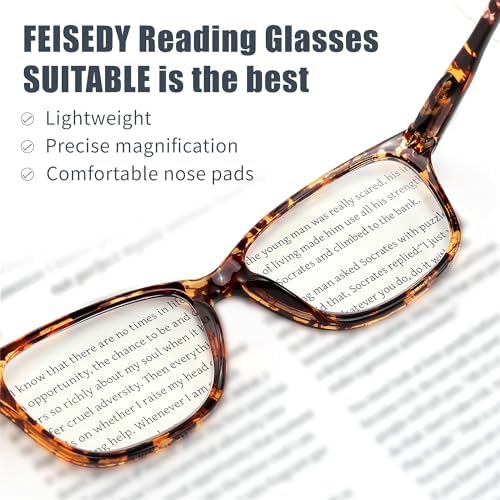 FEISEDY 2 Pack Retro Blue Light Blocking Reading Glasses Rectangular Tortoise Frame B0369