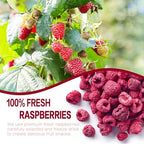 Freeze Dried Raspberries, Freeze Dried Fruit, 110G/3.88OZ Whole Frozen Raspberries, No Sugar Added, Healt-hy Snacks for Cocktails, Cake, Baking, Sorbet, Tea, Yogurt