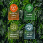 NooKoo Organic Guayusa Loose Leaf Tea 9 oz | Clean Energy & Focus | 60mg Natural Caffeine | Smooth, Jitter-Free Boost | Antioxidant-Rich Herbal Tea | Coffee Alternative from the Amazon