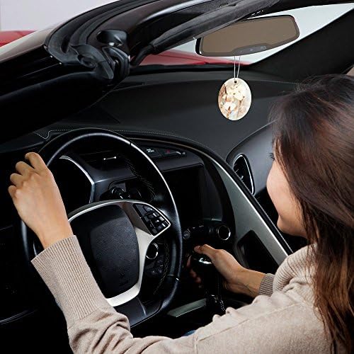 Armor All Car Air Freshener, Air Freshener Hanging Card for Cars, Trucks, Freshfx Classic Cotton, 3 Pack