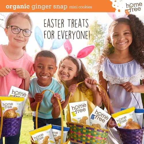 Homefree Mini Ginger Snap Cookies, Organic, Gluten Free, Nut Free, Vegan, Individually Wrapped Packs, School Safe and Allergy Friendly Snack, 0.95 oz. (Pack of 10)