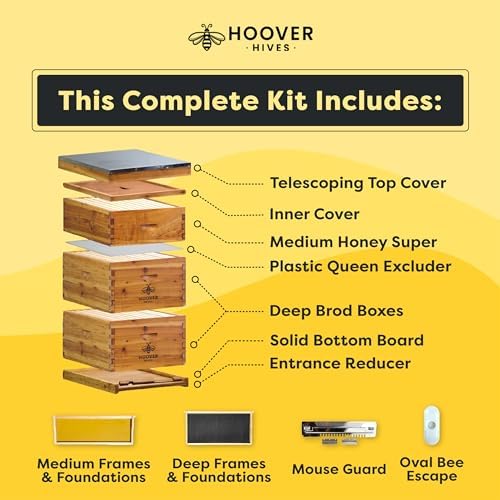 Hoover Hives: The Original Beeswax Coated Beehive Kit. Includes 2 Deep & 1 Medium Boxes with 10 Wooden Frames & Heavy Wax Coated Foundations. Easy Assembly with Predrilled Holes& Screws (Unassembled)