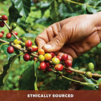 Low Acid Organic Coffee – Whole Bean, Mold-Free & Stomach Friendly by Java Planet, Chocolate and Almond, Medium Dark Roast, Arabica Gourmet Coffee Grade A, Smithsonian Bird Friendly, 1LB Bag