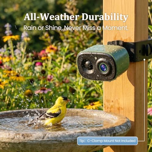Smart Bird Camera Only, for Bird Feeder/Bath/House, 2.5K UHD Birdwatching Live, Free AI Bird Identification, Auto Capture Video, Instant Alerts, 2.4Ghz WiFi, Wireless Outdoor Cam for Bird Lovers