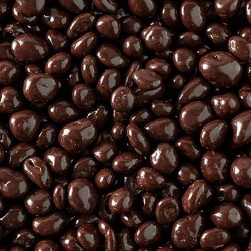 Dark Chocolate Covered Cranberries - Gourmet, Antioxidant Rich Bulk Chocolate Covered Fruit Candy Bites, by Queen City Candy Cave (1 Pound)