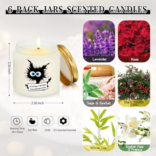 Conelist 6 Set Cat Lover Gifts for Women Employee Appreciation Gifts Funny Black Cat Scented Candles It's Fine Everything is Fine Inspirational 3.5 oz Soy Wax Jar Candles Gift for Teacher Coworker