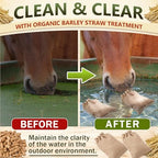 Abbylike 2 Pack Natural Barley Straw Treatment for Stock Tanks and Ponds, Effective Slow-Release Barley Straw Pellets, Treats up to 2000 Gallons, 1000 Gallons Per Bale