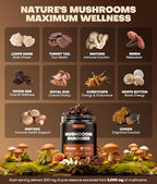 10-In-1 Mushroom Gummies with KSM-66 Ashwagandha & Magnesium Threonate Boosts Focus, Memory & Cognitive, 120 Ct Mushroom Supplement with Vitamin D3 & B12 for Immunity & Energy, Vegan, Blueberry Flavor