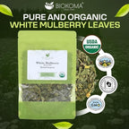 Biokoma Organic White Mulberry Leaf Tea Loose Dried Leaves 1.76oz - Morus Alba Herbal Tea - USDA Organic - Resealable Moisture Proof Pouch - No Additives - No Preservatives - Non GMO - Kosher