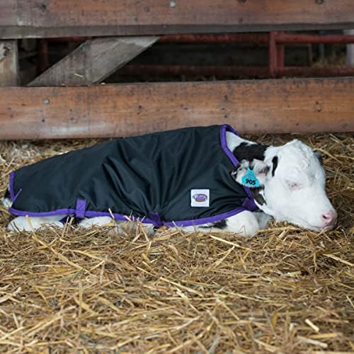 Weaver Leather Livestock Pro Calf Blanket