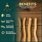 Pack of 12 Miswak Sticks for Teeth with Holder - Natural Toothbrush for Teeth Whitening, Oral Health & Fresh Breath - Vacuum Sealed Natural Flavored Chew Sticks for Humans || Pack of 12