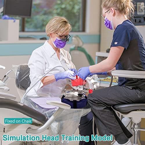 Dental Manikin Simulator Phantom Head - with Typodont Teeth Model Fixed on Chair 1:1 High Emulation 360-Degree Adjustable for Dental Schools Lab Training Education Practical Demonstration