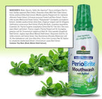 Nature's Answer Periobrite Cool Mint All-Natural Mouthwash | Promotes Healthy Teeth & Gums | Fights Bad Breath | Flouride-Free, Alcohol-Free & Gluten-Free | No Articial Preservatives 16oz (2 Pack)