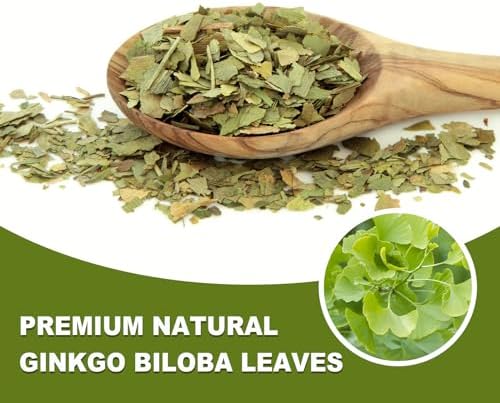 TEARELAE - Ginkgo Biloba Tea Bags, 50 Count - 100% Pure Ginkgo Biloba Leaves - Non-GMO - Naturally Caffeine-free Herbal Tea - Support Vision Health & Enhance Immunity