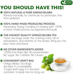 FreshDrinkUS, Premium 75 Ginkgo Biloba Leaf Tea Bags, 100% Natural & Pure from Ginkgo Biloba Leaves. Loose Leaf Herbal Tea. Made with Eco-Conscious Tea Bags. No Sugar, No Caffeine, No Gluten, Vegan.