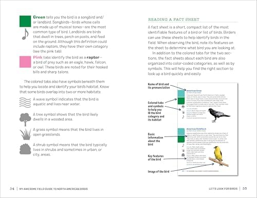 My Awesome Field Guide to North American Birds: Find and Identify Your Feathered Friends (My Awesome Field Guide for Kids)