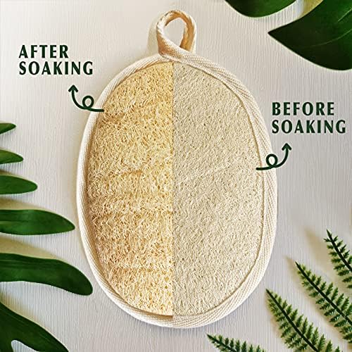 YIQINGJIE Natural Loofah Sponge Exfoliating Body Scrubber (3 Pack),Made with Eco-Friendly and Biodegradable Shower Luffa Sponge, Loofah for Women and Men, Beige