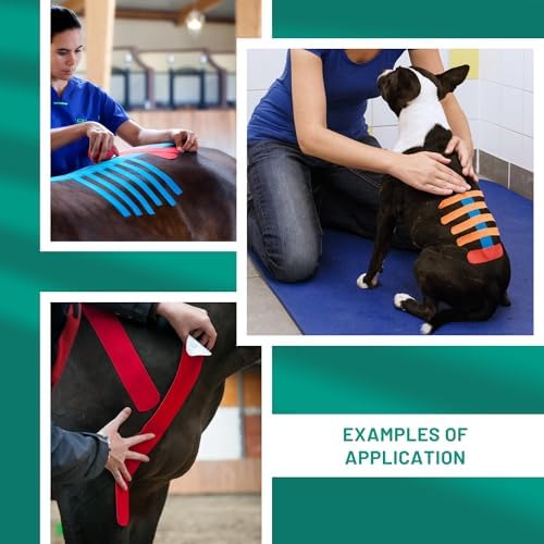 VETKIN VetkinTape Canine & Equine Kinesiology Tape | Veterinary Medical Tape | Vet Wrap for Joint Support & Pet Care | Self Adhesive Bandage Wrap | Black | 2.4in | (Pack of 1)