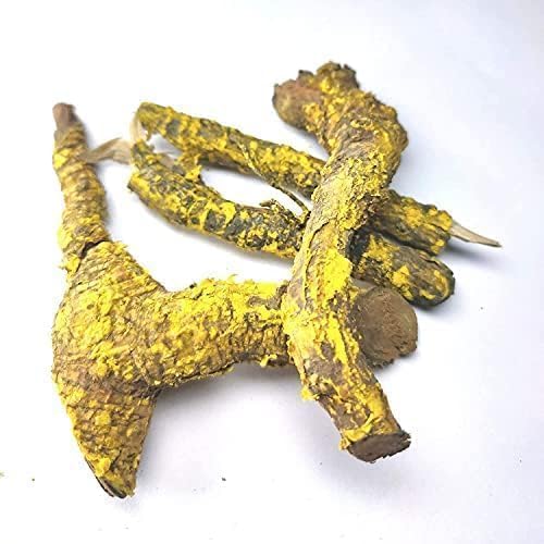 DK Saptrangi Churna/Saptarangi Powder/Saptrangi churna -Saptaranj/Salacia Oblonga (50 GMS)