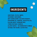 Peppersmith 100% Xylitol Mints, Eucalyptus and Fine English Peppermint, 15 g (Box of 12, Total 300 Mints)