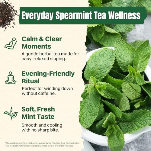 Hiihone Spearmint Tea Bags 100 Count – Pure Spearmint Leaf Herbal Tea, Caffeine-Free, Refreshing Mint Flavor, Supports Digestion & Everyday Wellness, Non-GMO