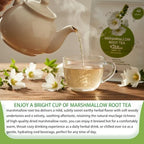 Samcci - Marshmallow Root Tea, 2g x 40 Tea Bags -100% Natural & Pure Dried Cut & Sifted Althaea Officinalis - No Sugar - No Caffeine - No Gluten - Vegan - Support Digestion & Respiratory