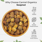 CARMEL ORGANICS Soapnut/Reetha Whole 12 Ounce | Pure Reetha Pods | Natural Hair Cleanser & Conditioner | Chemical-Free & Eco-Friendly, No Added Preservatives