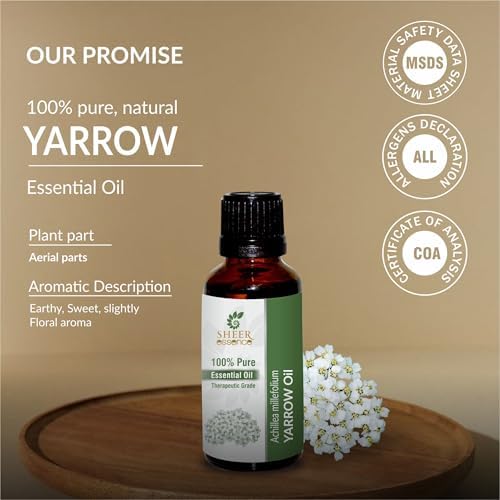 Yarrow Oil -(Achillea Millefolium)- Essential Oil 100% Pure Natural Undiluted Uncut Therapeutic Grade Oil 0.51 Fl.OZ