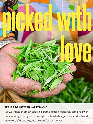 TeeLux Jasmine Green Tea Bags, Natural Caffeinated Jasmine Scented Green Tea with Pleasant Aroma, 100 Count Tea Bags