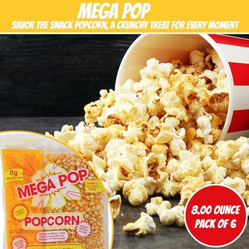 10.6 Oz Popcorn Portion Packs - Package of 6ct