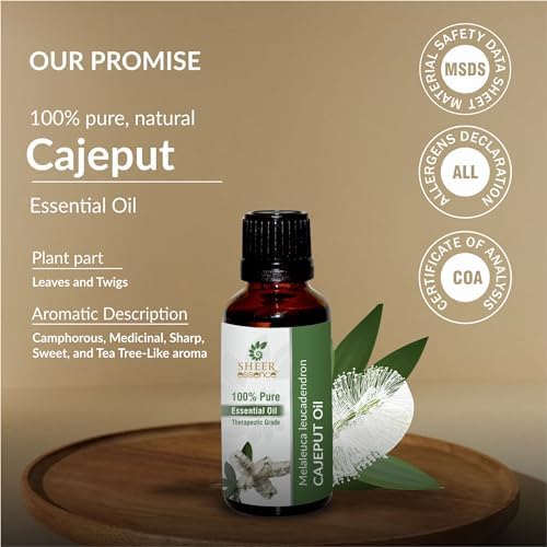 Cajuput Oil -(Kayu Putih | White Wood)- Essential Oil 100% Pure Natural Undiluted Uncut Therapeutic Grade Oil 8.45 Fl.Oz.