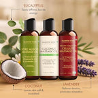 MAJESTIC PURE Massage Oil for Massage Therapy - Refreshing, and Relaxing - Natural Oils - for All Skin Types - Men and Women Massage Lotion (3.4 Fl Oz (Pack of 3), Massage Oil Set)