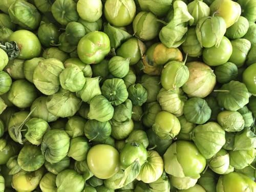 Fresh Tomatillos, Locally Grown, 2 Pounds, For Salsa Verde and Cooking