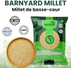 Vatsan Barnyard Millet (1lbs) | 100% Natural & Unpolished Whole Grain | High Fiber, Low GI, Gluten-Free | Healthy Alternative to Rice | Premium Quality