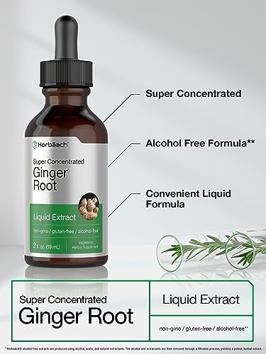Horbäach Ginger Root Extract Liquid | 2 oz | Alcohol Free Supplement | Super Concentrated | Vegetarian, Non-GMO, Gluten Free