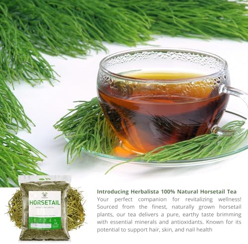 Herbalista Premium Loose Horsetail Tea (4 oz | 113g) | 100% Natural Cola de Caballo Herbal Tea | Shave Grass | Makes 50-60+ Cups | Stand-Up Resealable Bag | Crafted by Nature