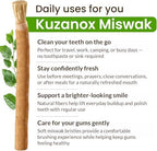 Miswak Sticks for Teeth Pack of 12 with Holder - Natural Miswak Toothbrush Sticks for Fresh Breath - Organic Salvadora Persica Sewak Miswak Sticks Vacuum Sealed