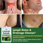 Herbmood Cleavers Lymphatic Drainage Tea Bags for Lymph System Support, Horsetail and Dandelion Organic Herbal Formula, Lymphatic Cleanse & Detox, Edema Relief. Te de Cola de Caballo Herb. 30 Bags