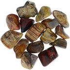10 Pcs. Tumbled Petrified Wood Stones from Madagascar - 0.75" to 1.50" Avg Rocks for Crafts, Art, Crystal Healing, Wicca, Reiki and More!