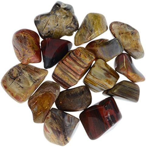 1 lb Tumbled Petrified Wood Stones from Madagascar - 0.75" to 1.50" Avg Rocks for Crafts, Art, Crystal Healing, Wicca, Reiki and More!
