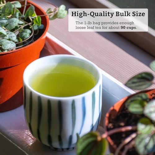 SUGIMOTO TEA Japanese Sencha Fukamushi Green Tea Loose Leaf Bulk 1.0 lb (454 g)