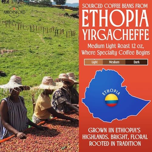Ethiopia Yirgacheffe Coffee Beans, Medium-Light Roast Ethiopian Coffee Beans with Stone Fruit, Caramel & Toasted Pine Nuts, Flavored Single Origin Whole bean12oz Bag, Perfect Festive Gift